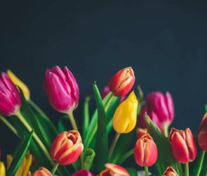 Is Your Thinking Irrational?