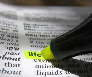 Steven Cassedy Decoding Meaning's Essence