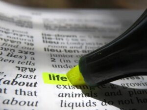 Steven Cassedy Decoding Meaning's Essence