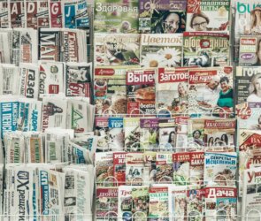 The Knowledge Advantage: Beyond More