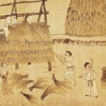 Shennong’s Agricultural Innovations