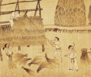 Shennong’s Agricultural Innovations