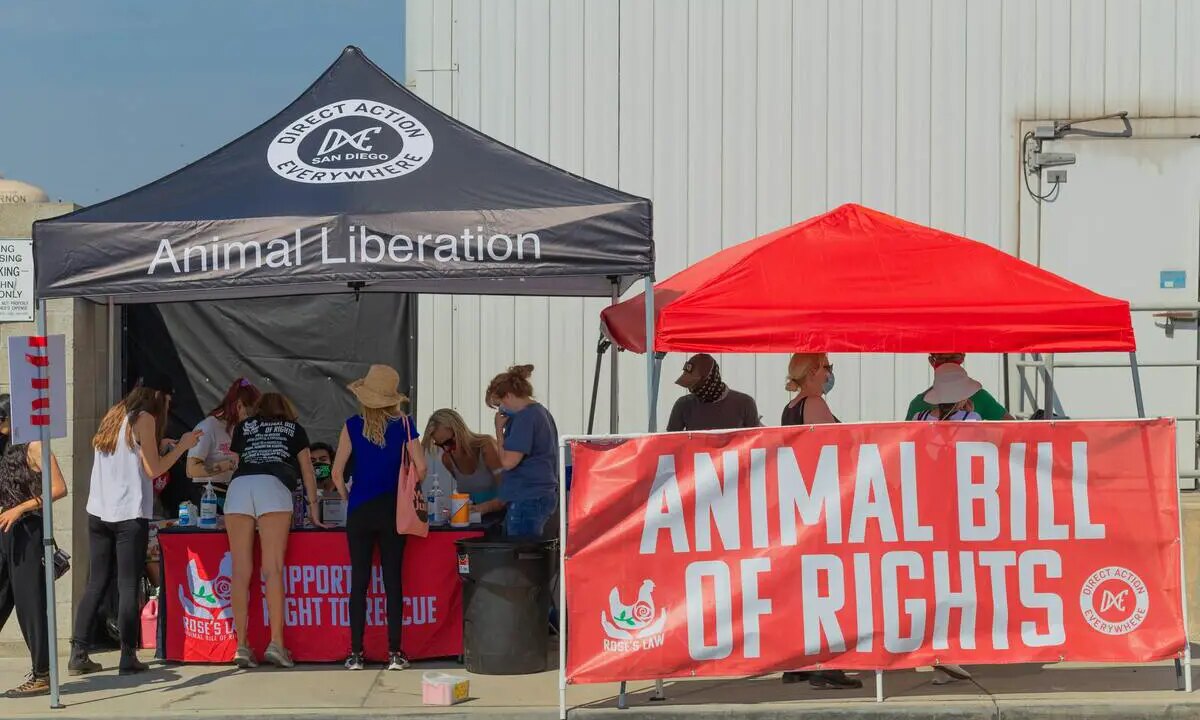 Bentham’s Revolutionary Animal Ethics Quote