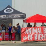 Bentham’s Revolutionary Animal Ethics Quote