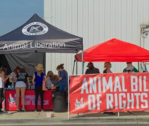 Bentham’s Revolutionary Animal Ethics Quote