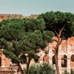 Stoic Mastery: Stay Calm Everyday