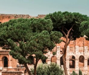 Stoic Mastery: Stay Calm Everyday