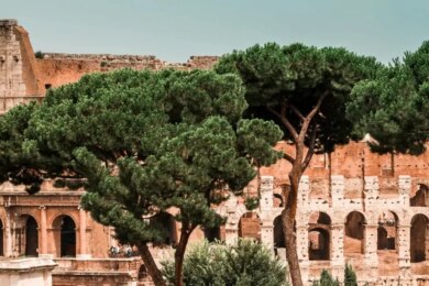 Stoic Mastery: Stay Calm Everyday