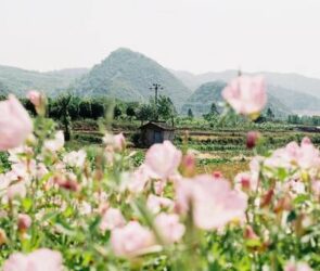 Embrace Solitude: Lessons in Content’s Embrace