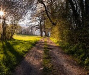 Dao De Jing: Core Wisdom Themes