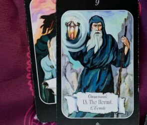 Hermit's Insights: Robert Rodriguez on Life and Art