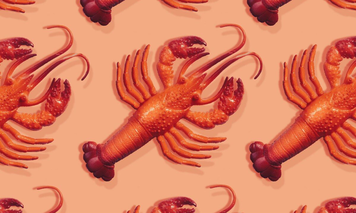 Viral AI Assistant Clawdbot Rebrands to Moltbot