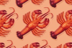 Viral AI Assistant Clawdbot Rebrands to Moltbot