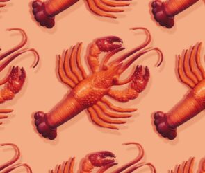 Viral AI Assistant Clawdbot Rebrands to Moltbot