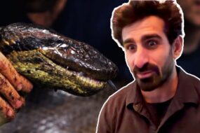 Anaconda Wrestling: Near-Drowned Storytelling