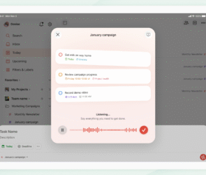 Speak Tasks to Todoist AI Now.
