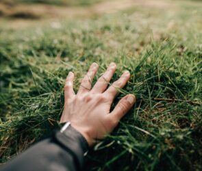 Chemical-Free Weed Killer Revolutionizes Lawns