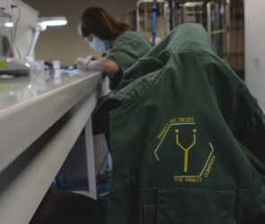 Ynsect's $600M Insect Farming Funding Collapse