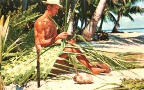 Tom Neale's Hermit Adventures