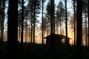 100 Days Alone: Hermit Woods Journey