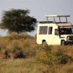 Your Choice in the Anthropocene