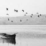 Seeking Sanctuary: The Power of Refuge