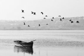 Seeking Sanctuary: The Power of Refuge