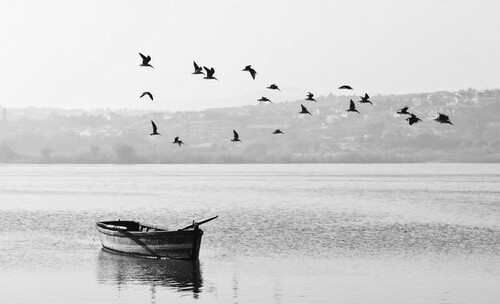 Seeking Sanctuary: The Power of Refuge