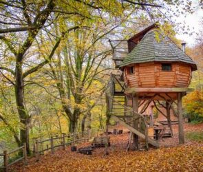 Modern Epicurean Lifestyle Guide