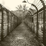Viktor Frankl Reveals Concentration Camp Happiness