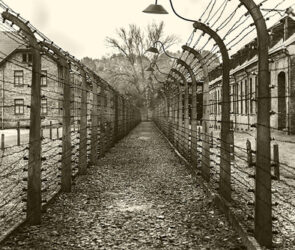 Viktor Frankl Reveals Concentration Camp Happiness