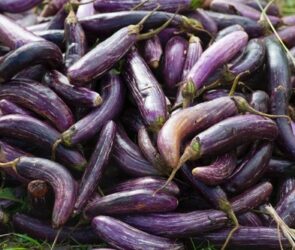 Happy Endings: Size or Shape?