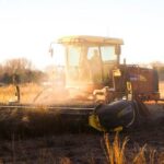 Luddism: Facing Tech's Challenges