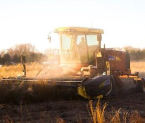 Luddism: Facing Tech's Challenges