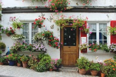 Stephanie Mills: Simple Life, Lasting Joy