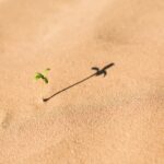 Kant's Ethics: Demanding Morality, Praiseworthy Motive