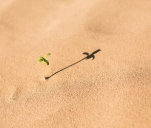 Kant's Ethics: Demanding Morality, Praiseworthy Motive