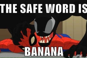 Pleasure Health Check: Safe Word Essentials