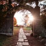 Bradbury: Living, Dying, Finding Joy