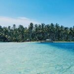 Huxley’s Brave New World Revisited