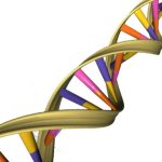April 25: DNA's Double Helix Discovery Anniversary