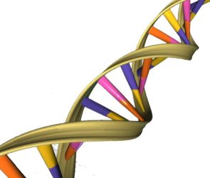 April 25: DNA's Double Helix Discovery Anniversary