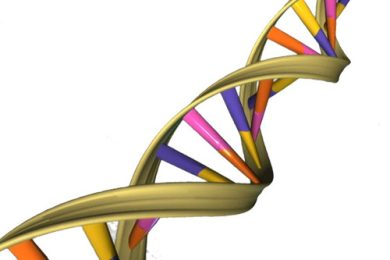 April 25: DNA's Double Helix Discovery Anniversary