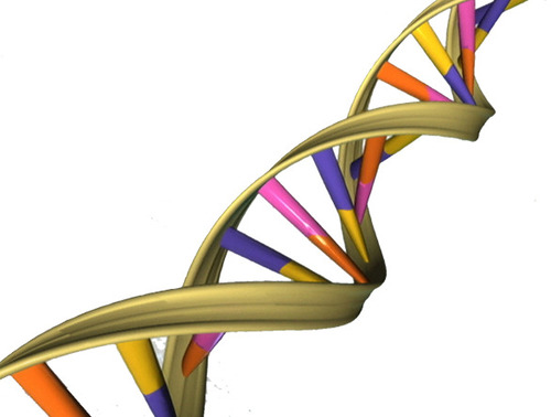 April 25: DNA's Double Helix Discovery Anniversary