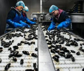 Alienation Explained: Marx's Theory