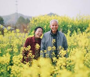 Fromm: Love, Happiness, and Human Connection