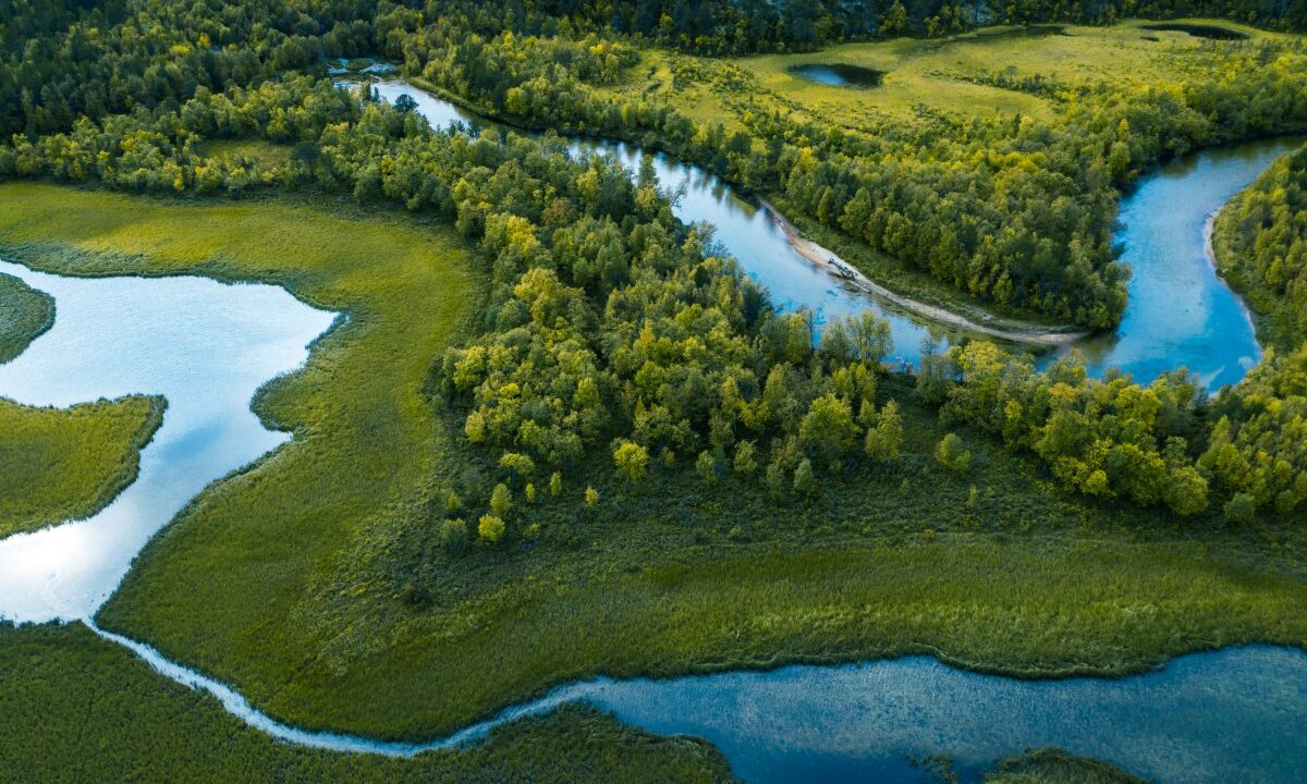 Current: River‑Flow RSS Reader