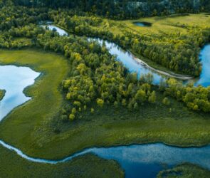 Current: River‑Flow RSS Reader