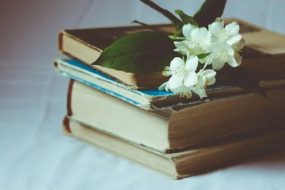 Top 3 Philosophy Books for Beginners