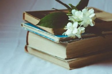 Top 3 Philosophy Books for Beginners